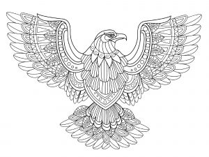 Coloring flying eagle