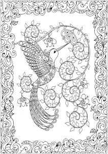 Download Birds Coloring Pages For Adults