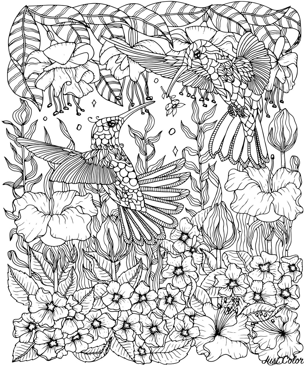 Hummingbirds And Flowers Coloring Page Birds Adult Coloring Pages