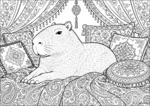 Capybara lying on cushions