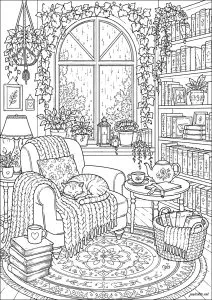 Cat asleep on an armchair by the window