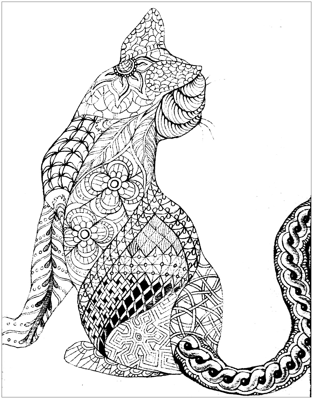 Cat from back - Cats Adult Coloring Pages