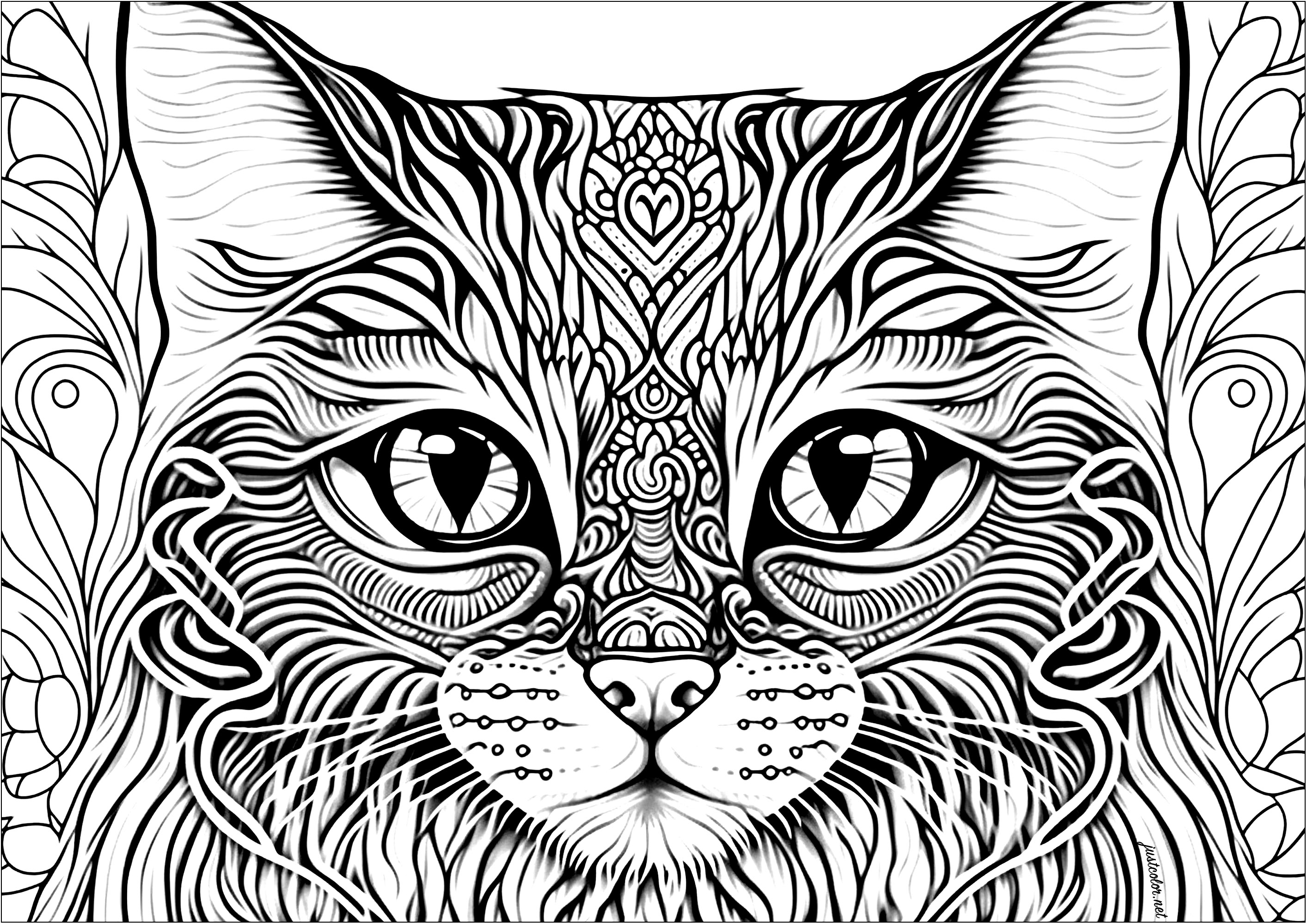 A beautiful cat head, with patterns to color. Many areas to put in color, quite intermingled ... Relaxing effect guaranteed thanks to this pretty cat