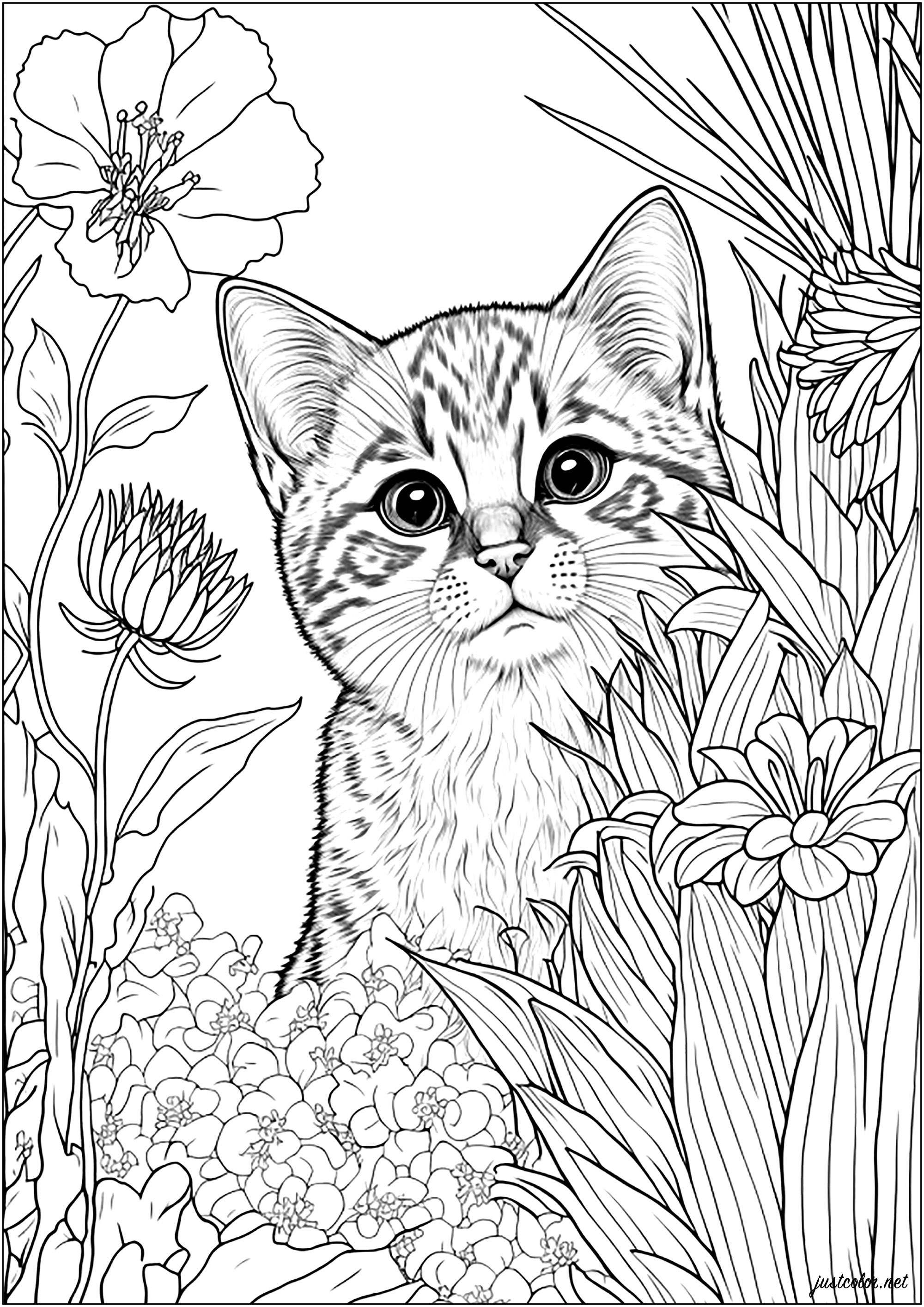 Young cat surrounded by flowers - Cats Adult Coloring Pages