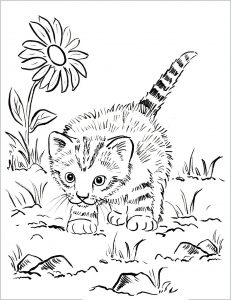 Coloring page cat playing outside