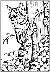 Coloring page kitten playing in the garden 1
