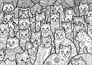 Download Cats Coloring Pages For Adults