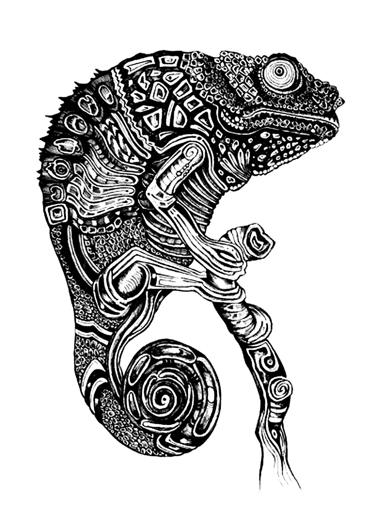 Very dark drawing to color of a cameleon