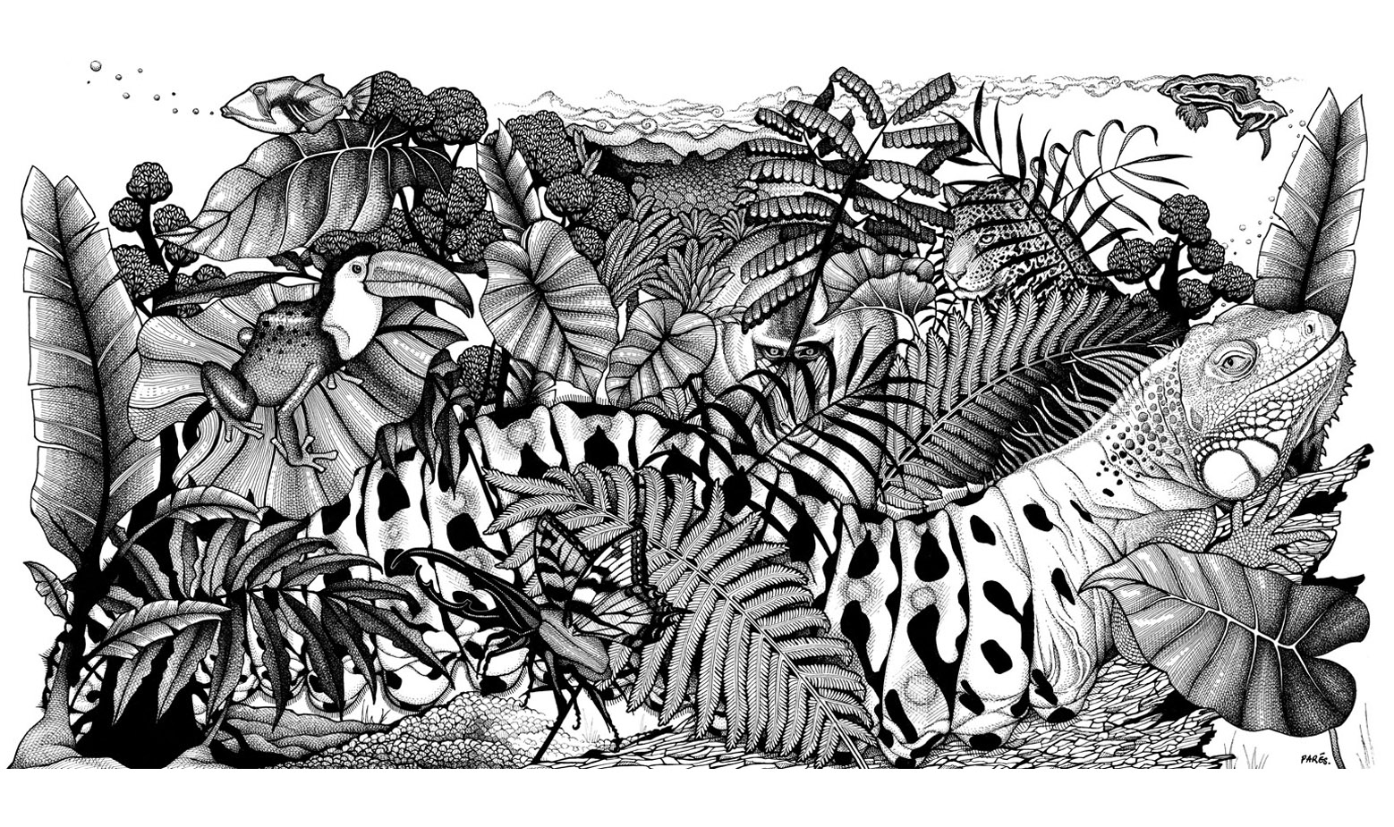 Superb black and white drawing to print and color with lush vegetation hiding many animals ... By coloring them to make them easier to see! Lots of detail, Artist : Paola Parés
