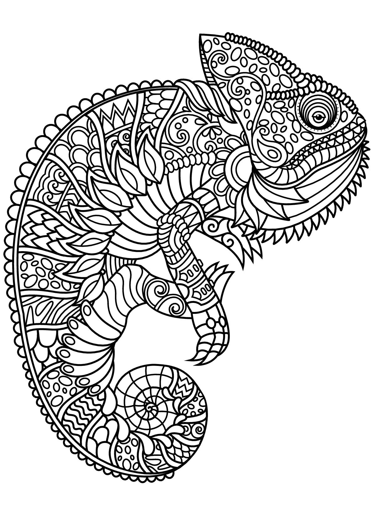 Free book chameleon - Chameleons & lizards Adult Coloring Pages