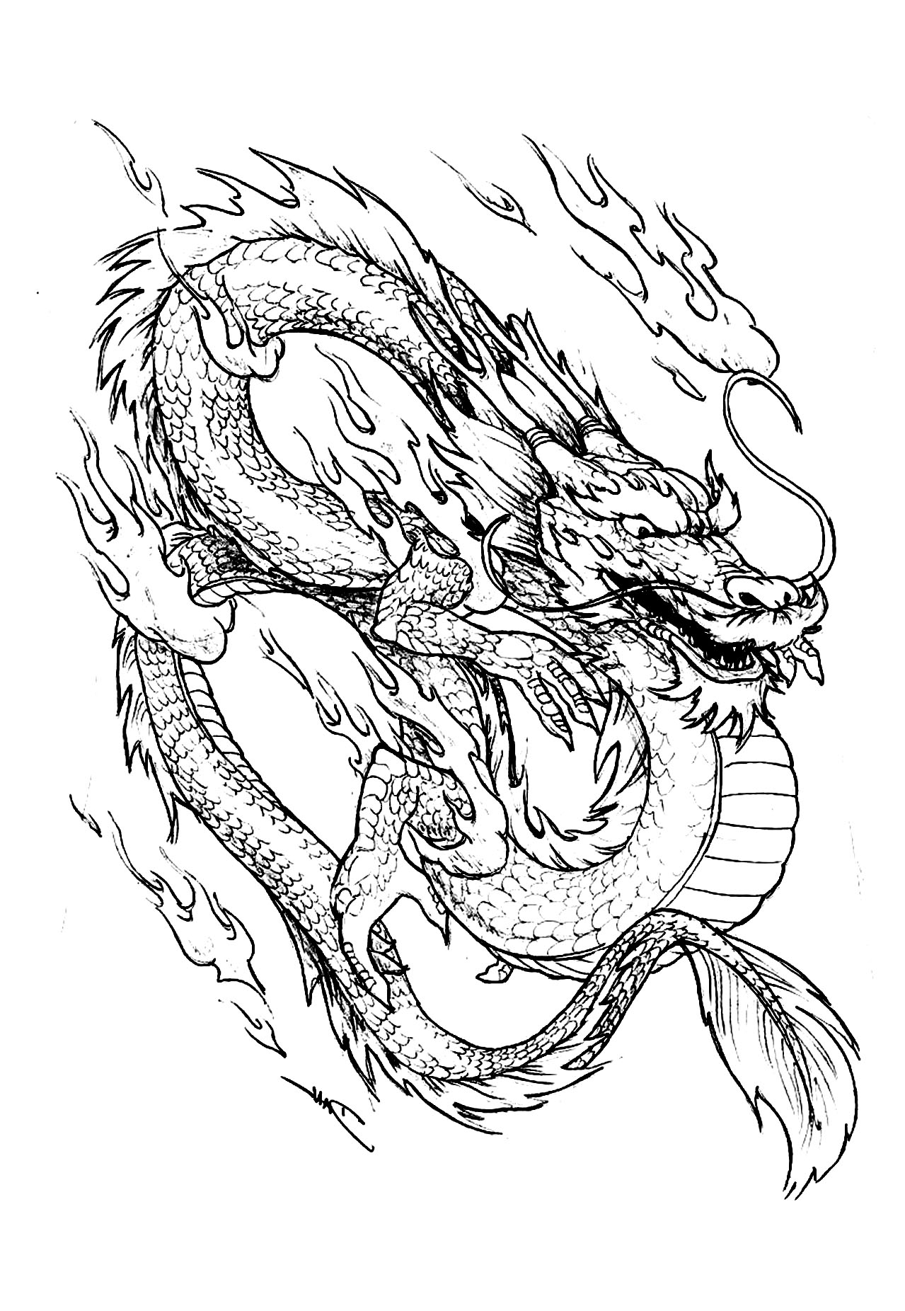 Drawing of a Chinese dragon, teeming with detail and extremely harmonious.