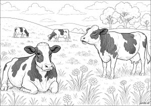 A peaceful herd in the meadows
