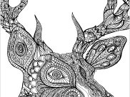Deers Coloring Pages for Adults