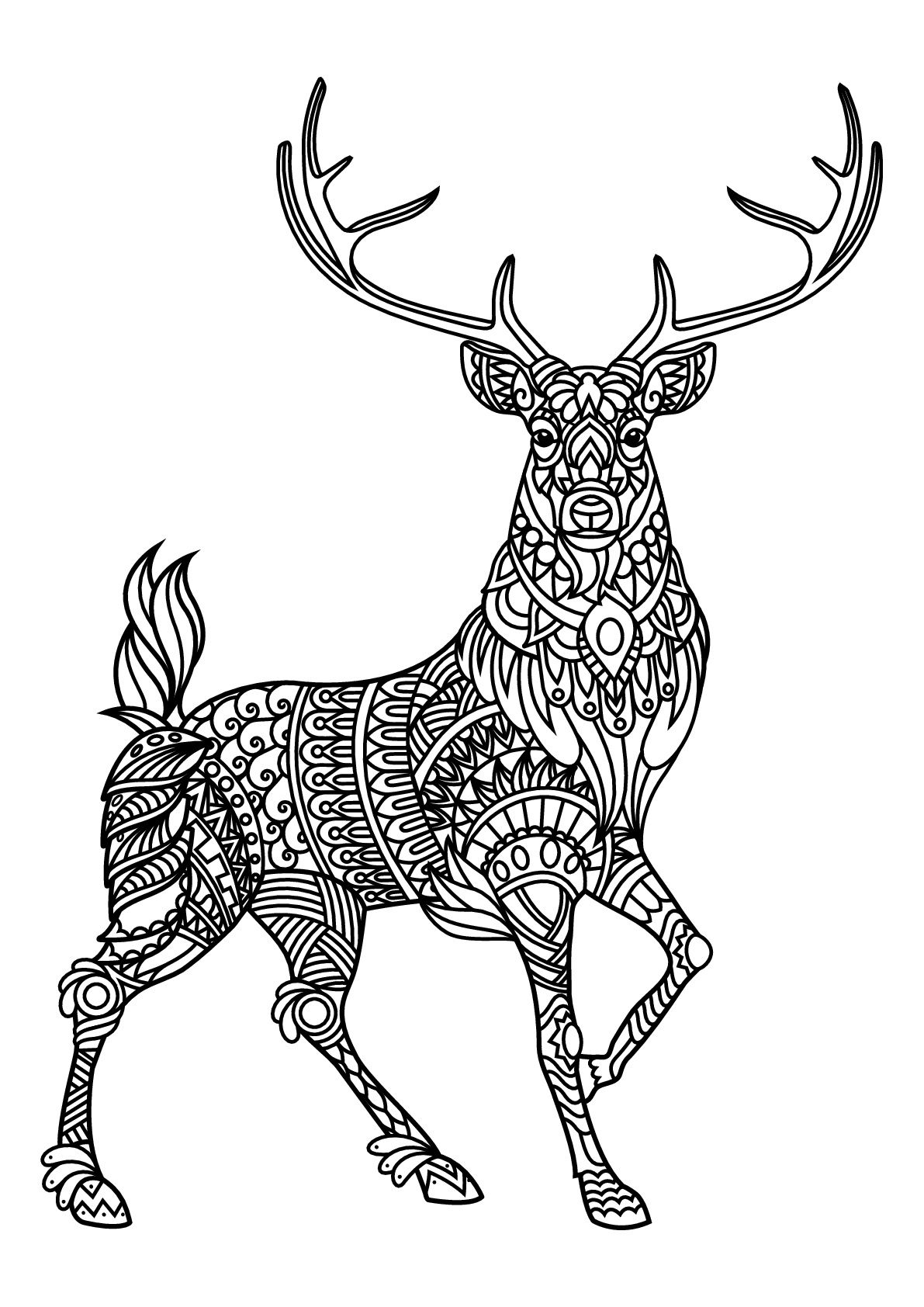Download Free book deer - Deers Adult Coloring Pages