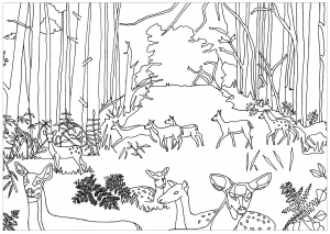 Coloring adult does and fawns in forest by marion c 1
