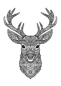 Deers 3508