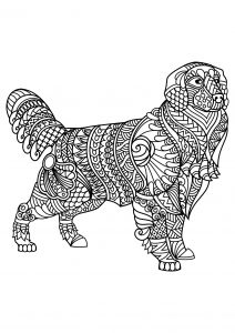 Dogs - Coloring Pages for Adults