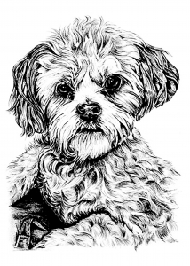 Coloring page dog 1