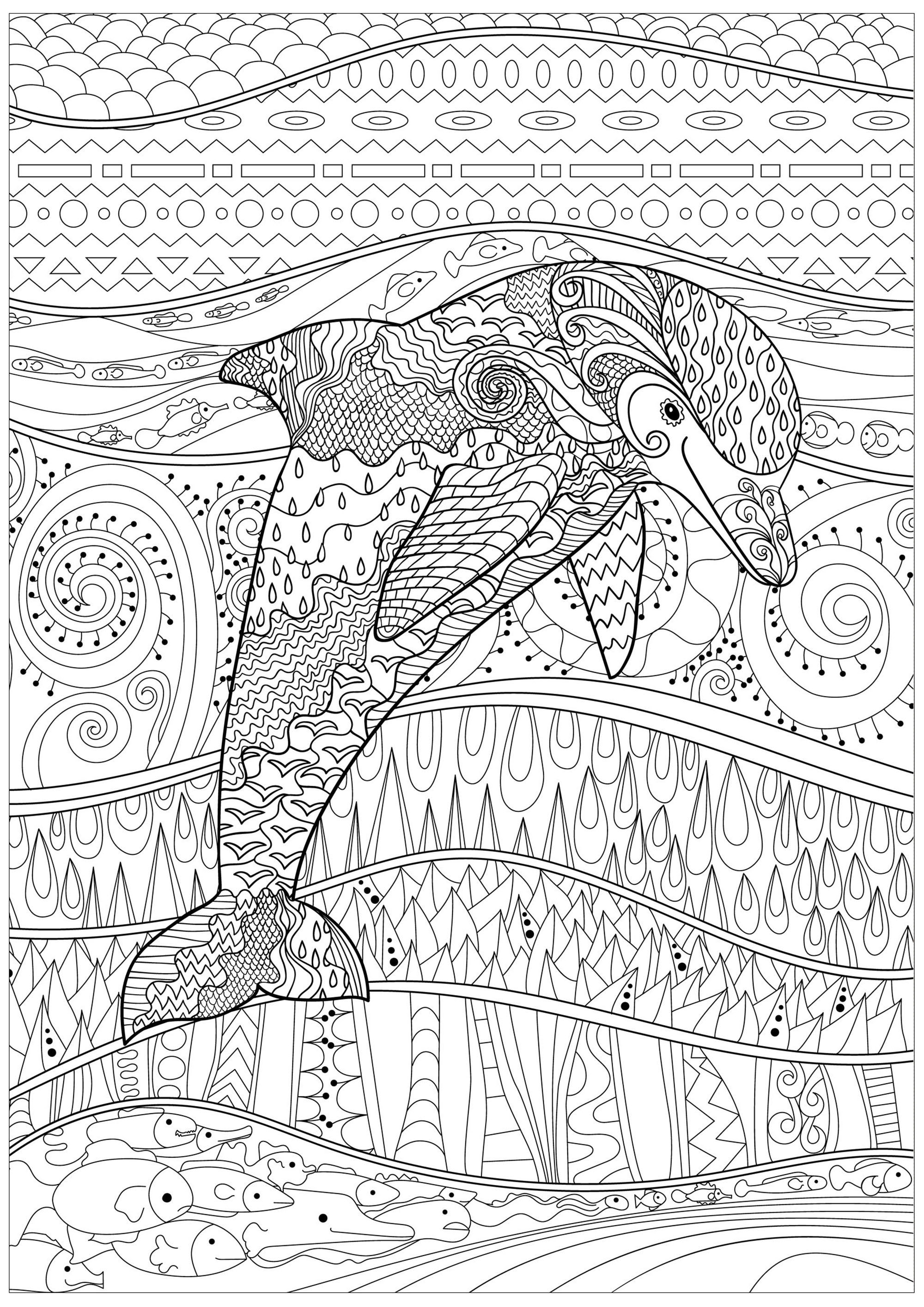 Radiant Dolphin Dolphins Adult Coloring Pages