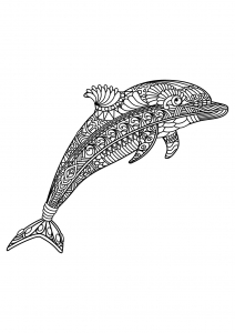 Coloring free book dolphin 1