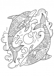 Dolphins Coloring Pages for Adults