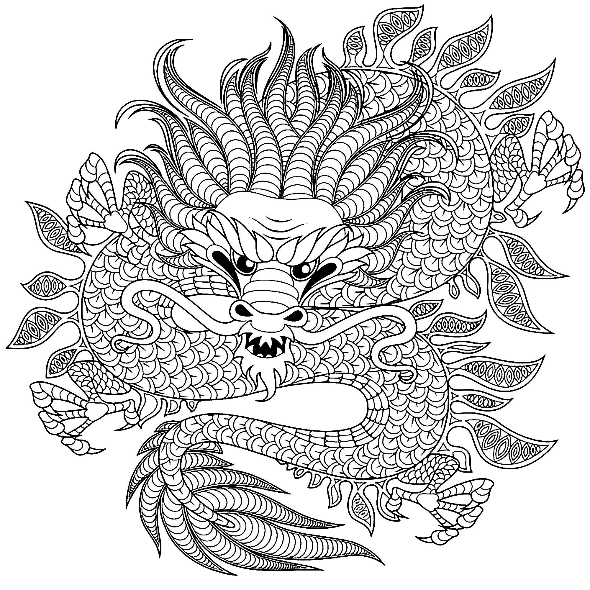 Dragon Circular Dragons Adult Coloring Pages