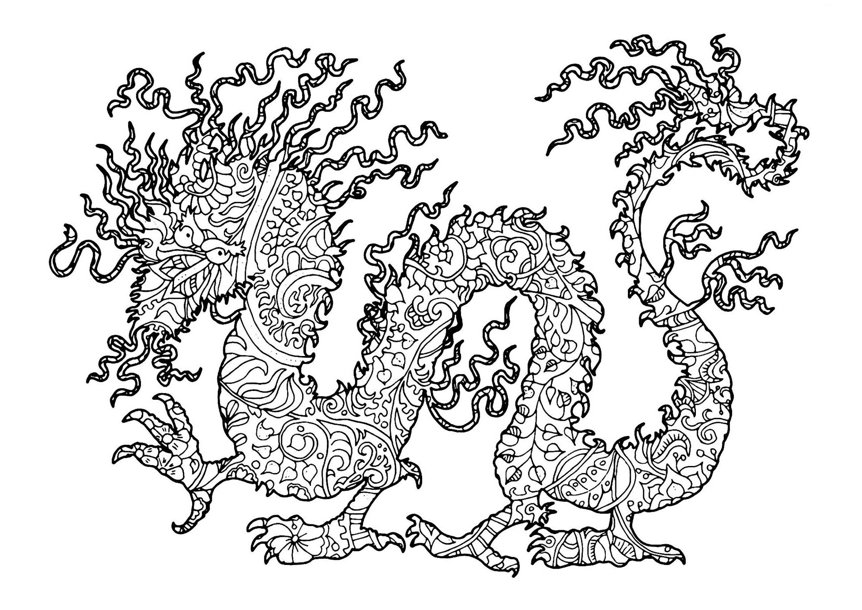Download Dragon complex vera - Dragons Adult Coloring Pages