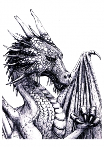 Dragons - Coloring Pages for Adults