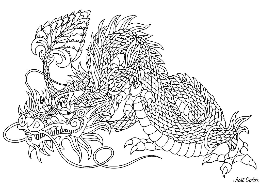 Mischievous dragon - Dragons Adult Coloring Pages