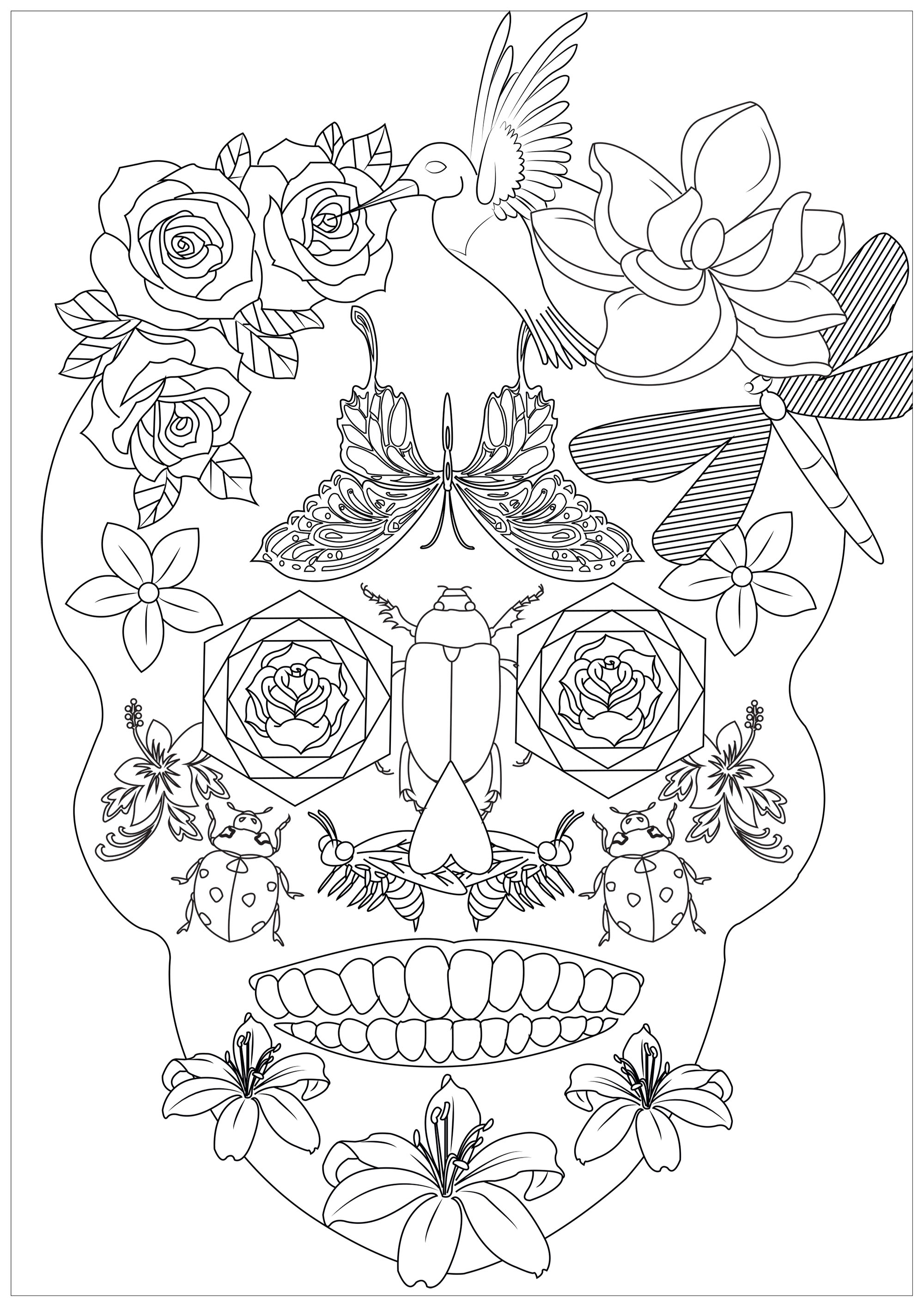A skull full of insects, flowers and birds looking straight out of a peaceful meadow, Artist : Caillou