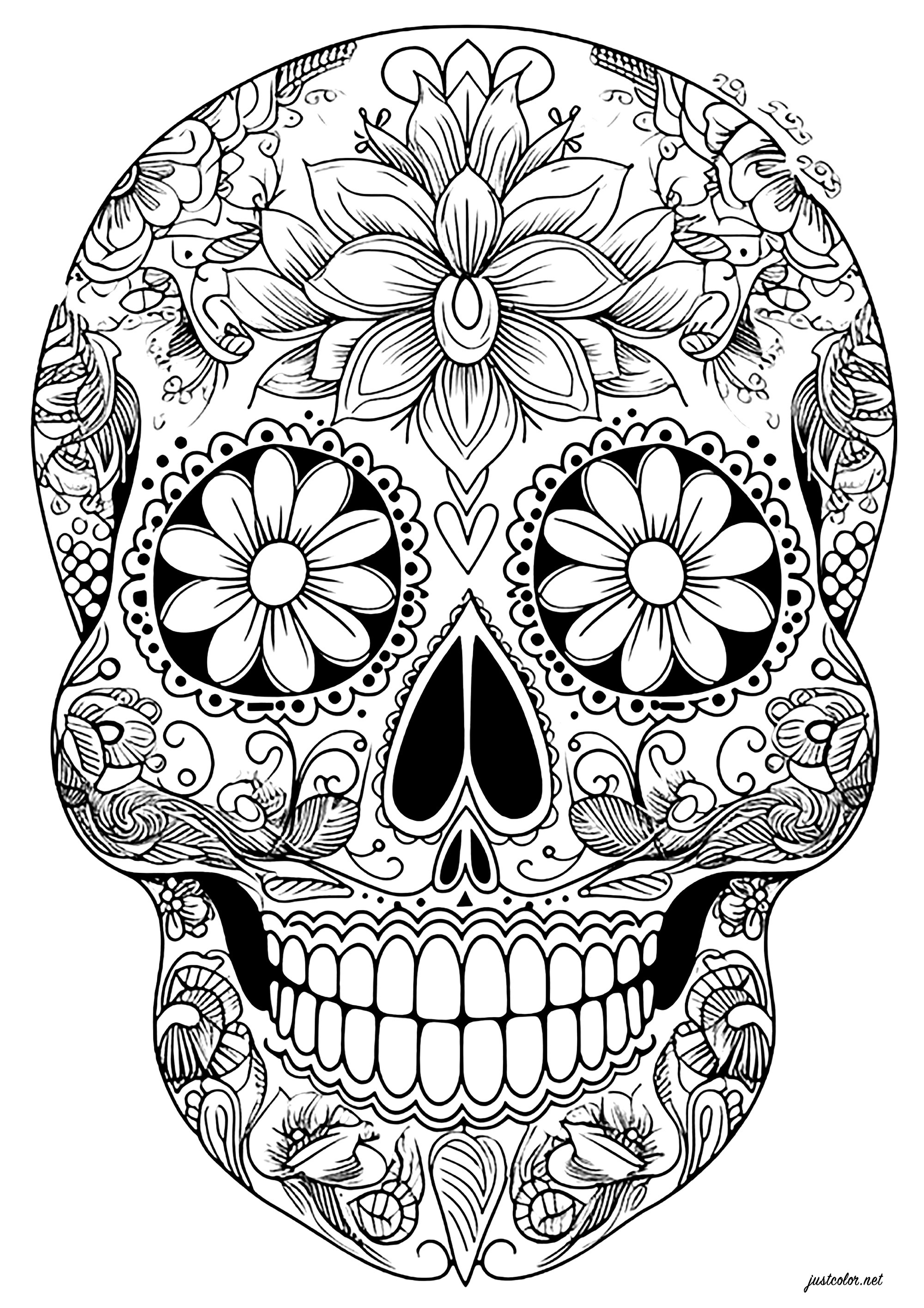 d-a-de-los-muertos-skull-elegant-floral-motifs-fishes-coloring