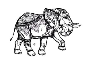 coloring pages for adults difficult elephants delicatessen