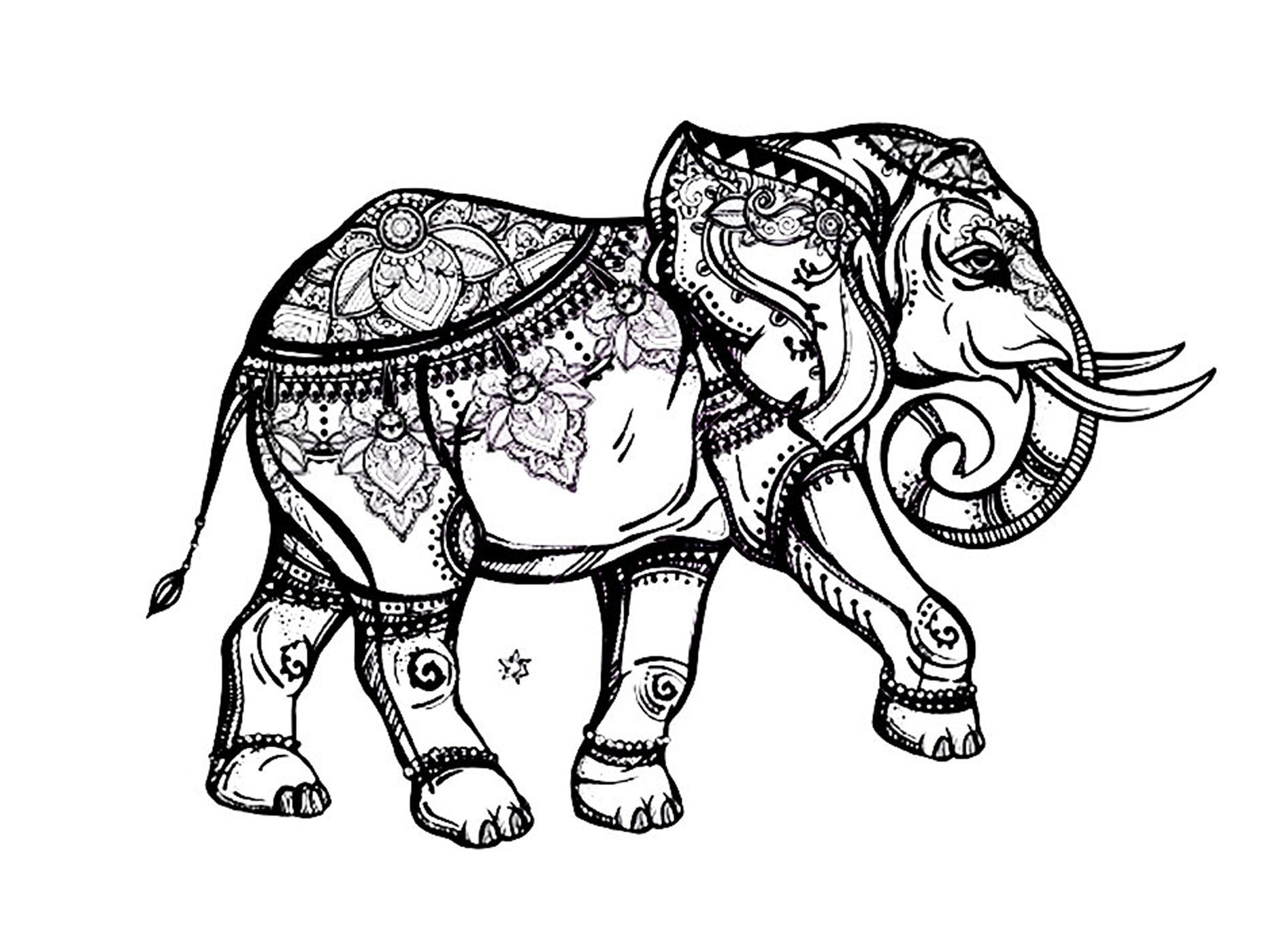 Download Elegant elephant - Elephants Adult Coloring Pages