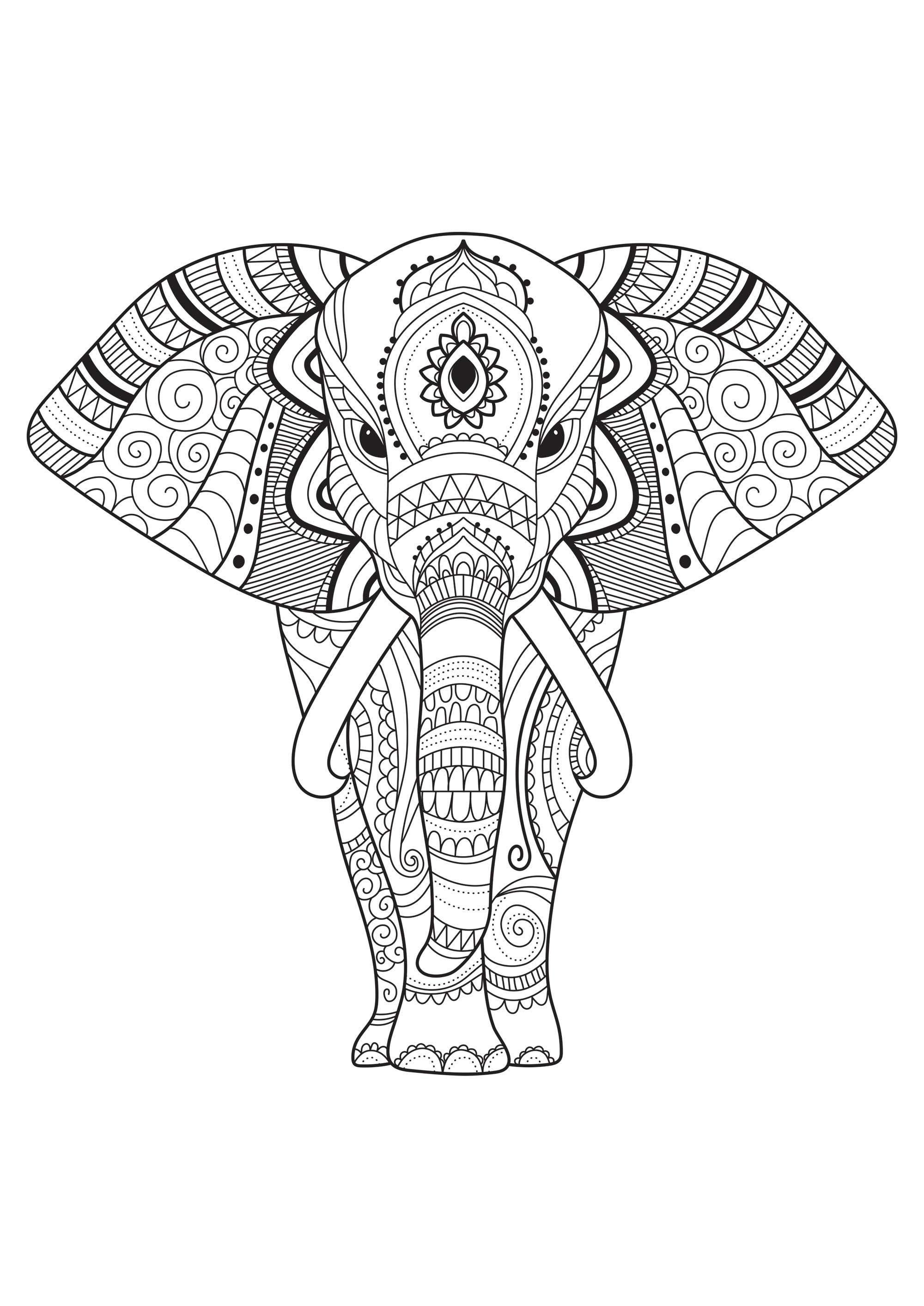 Download Elephant with simple patterns - Elephants Adult Coloring Pages
