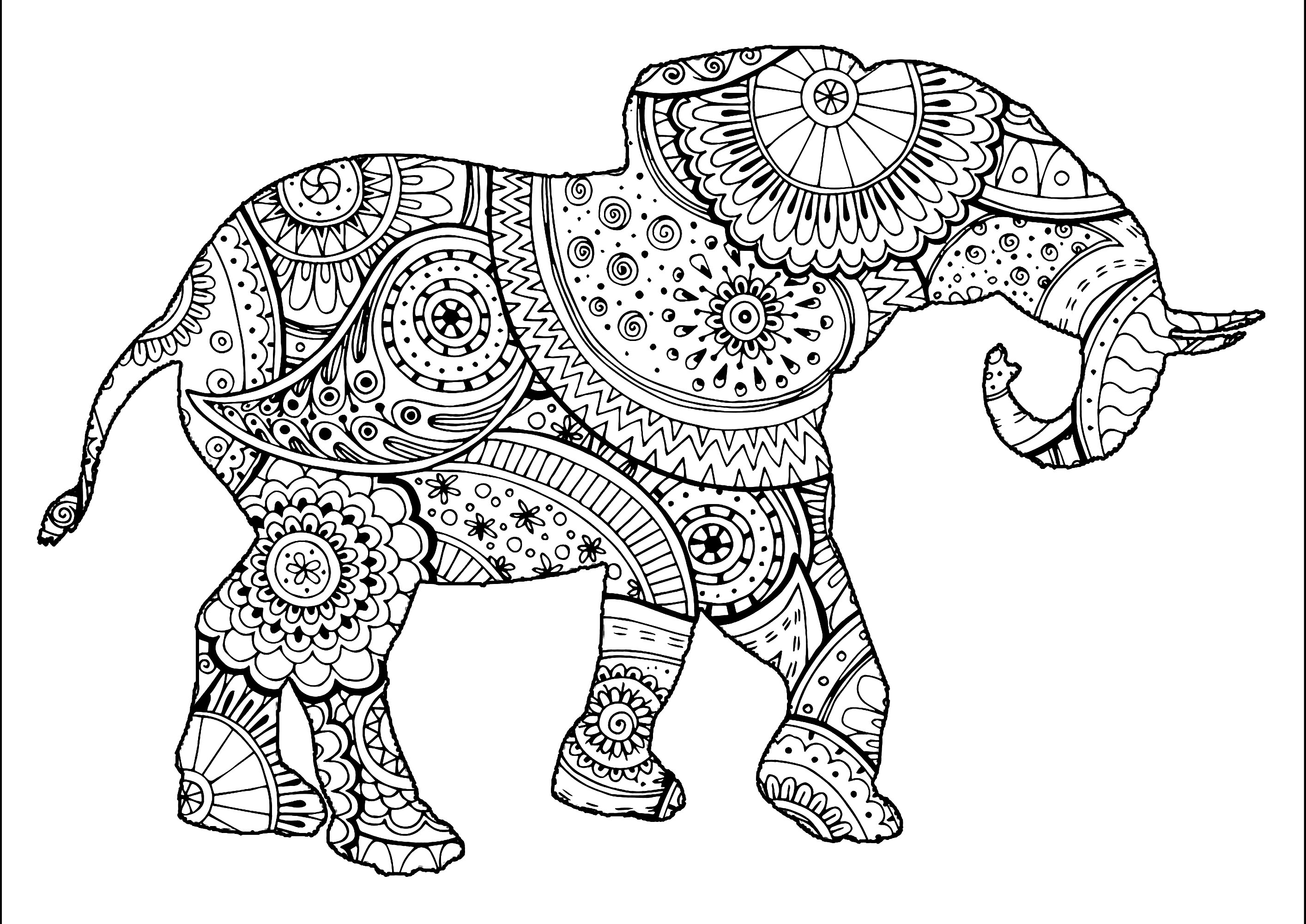 Colouring elephant with Zentangle and Paisley motifs. The Zentangle and Paisley motifs making up this elephant silhouette are highly detailed and varied. Explore them by varying the colors.You can give free rein to your imagination and create highly original color and pattern combinations, Artist : Art. Isabelle