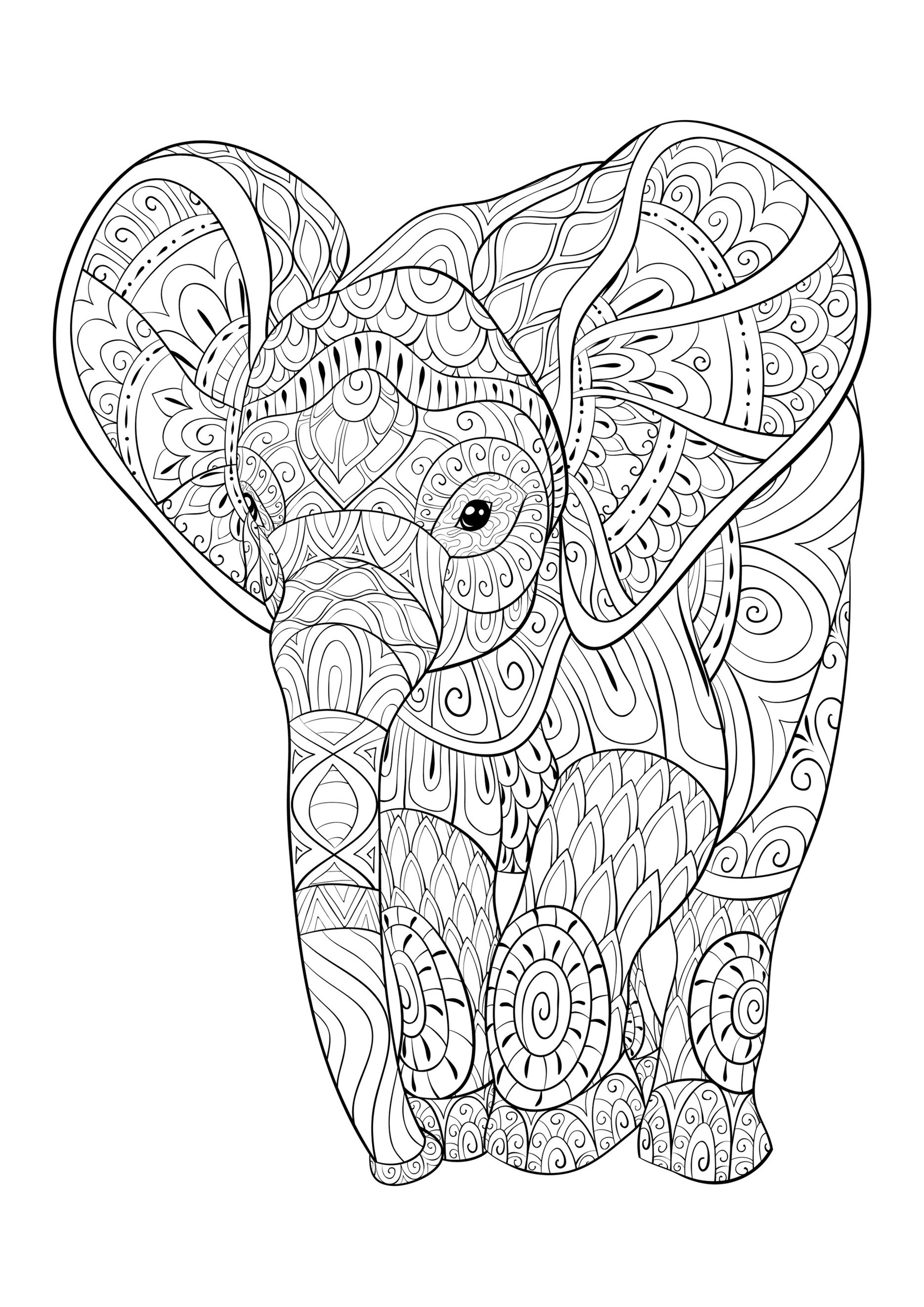 Young elephant full of beautiful patterns to color, Artist : Nonuzza   Source : 123rf