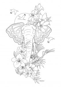 Coloring butterfly elephant