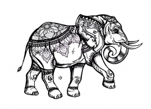 coloring-elegant-elephant