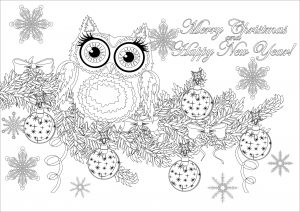 Coloring christmas owl on a branch with text
