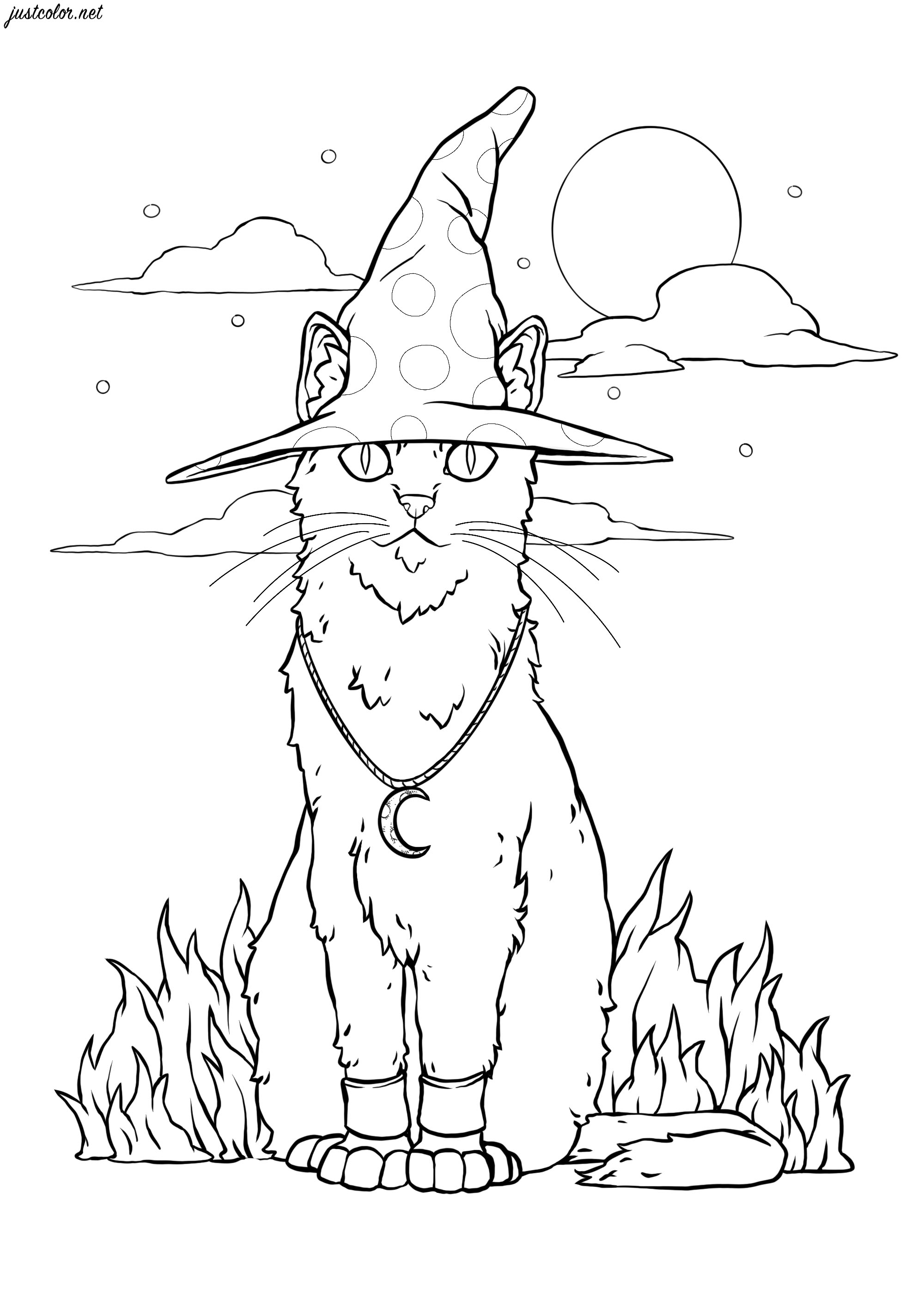 The magical cat - Halloween Adult Coloring Pages