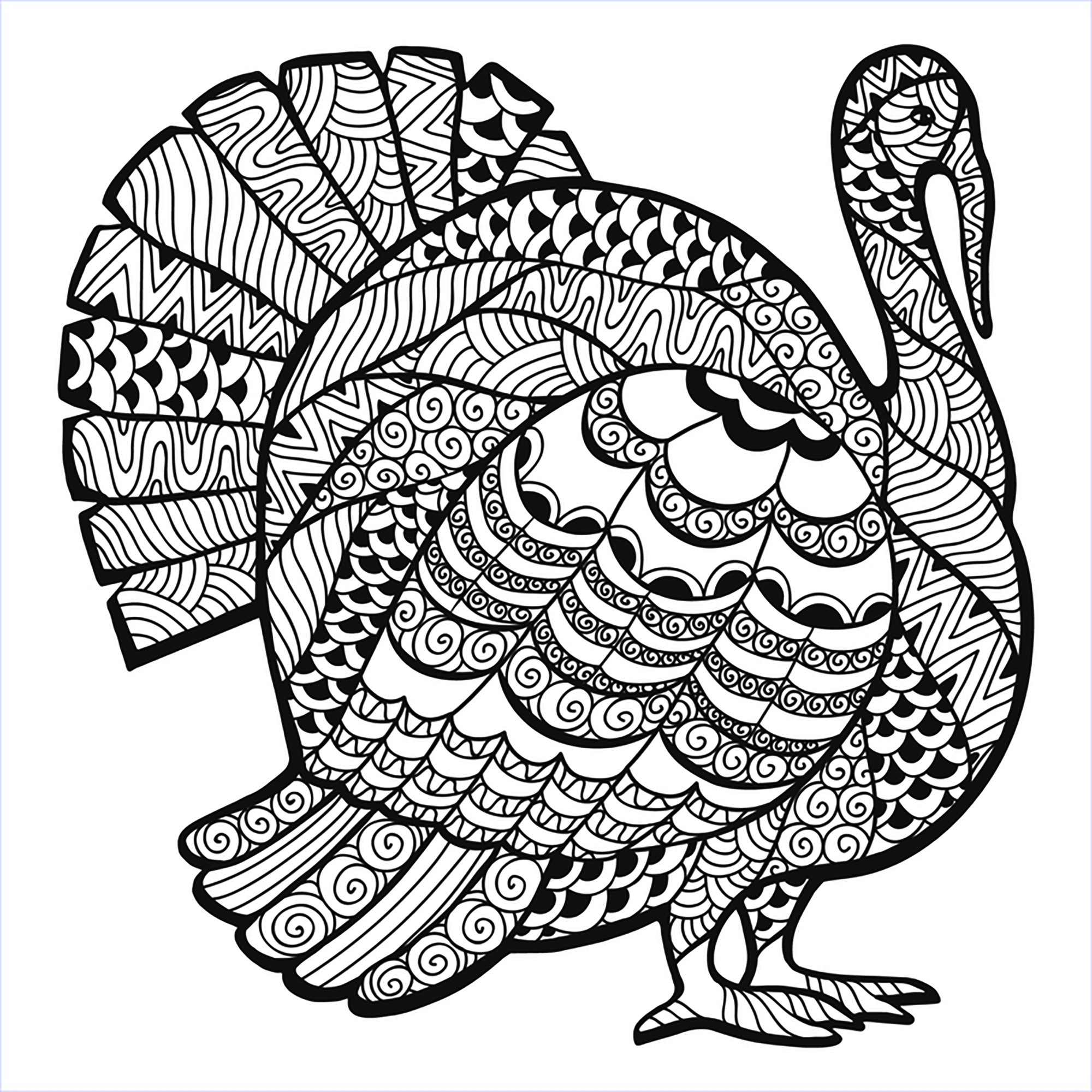 Turkey Zentangle Coloring  sheet Thanksgiving  Adult 