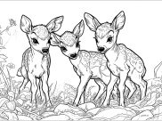 Fawns Coloring Pages for Adults