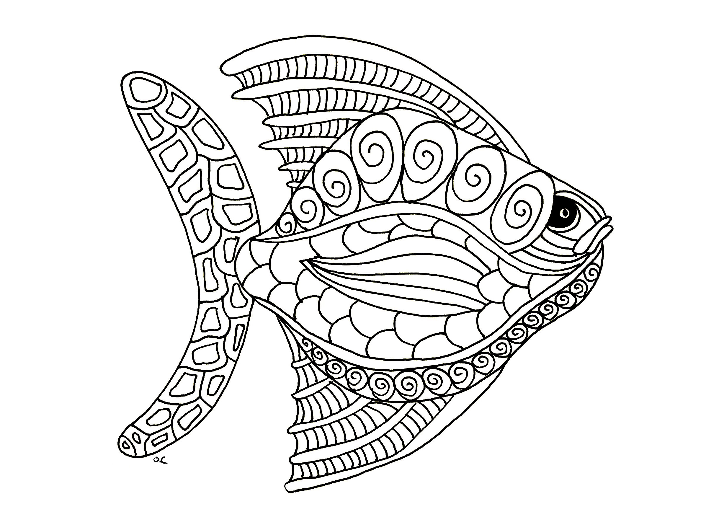 Big fish zentangle style, step 1, Artist : Olivier