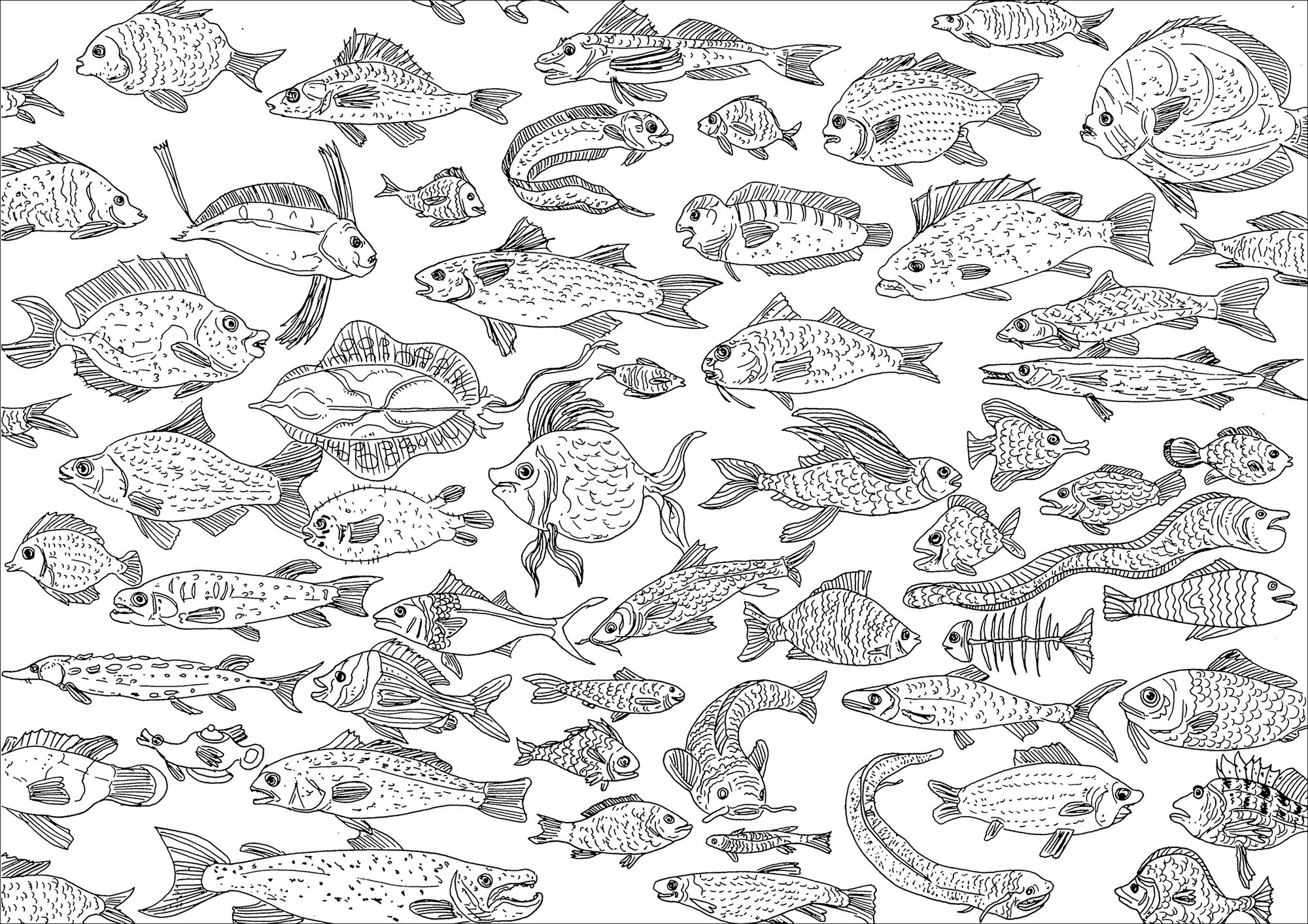 Incredible fishes swimming in the sea, just waiting for colors, Artist : Frédéric Brogard