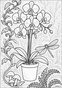 Potted orchid with dragonfly