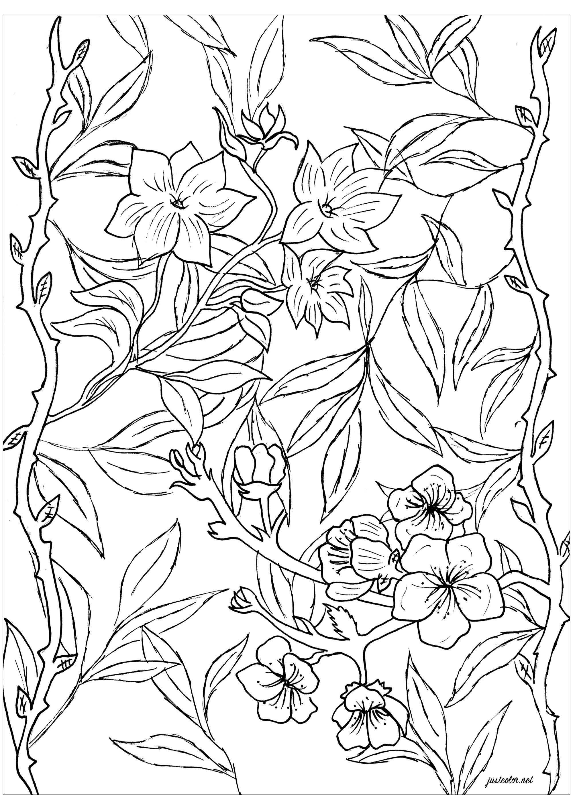 Cute flowers to color, Artist : Hanna