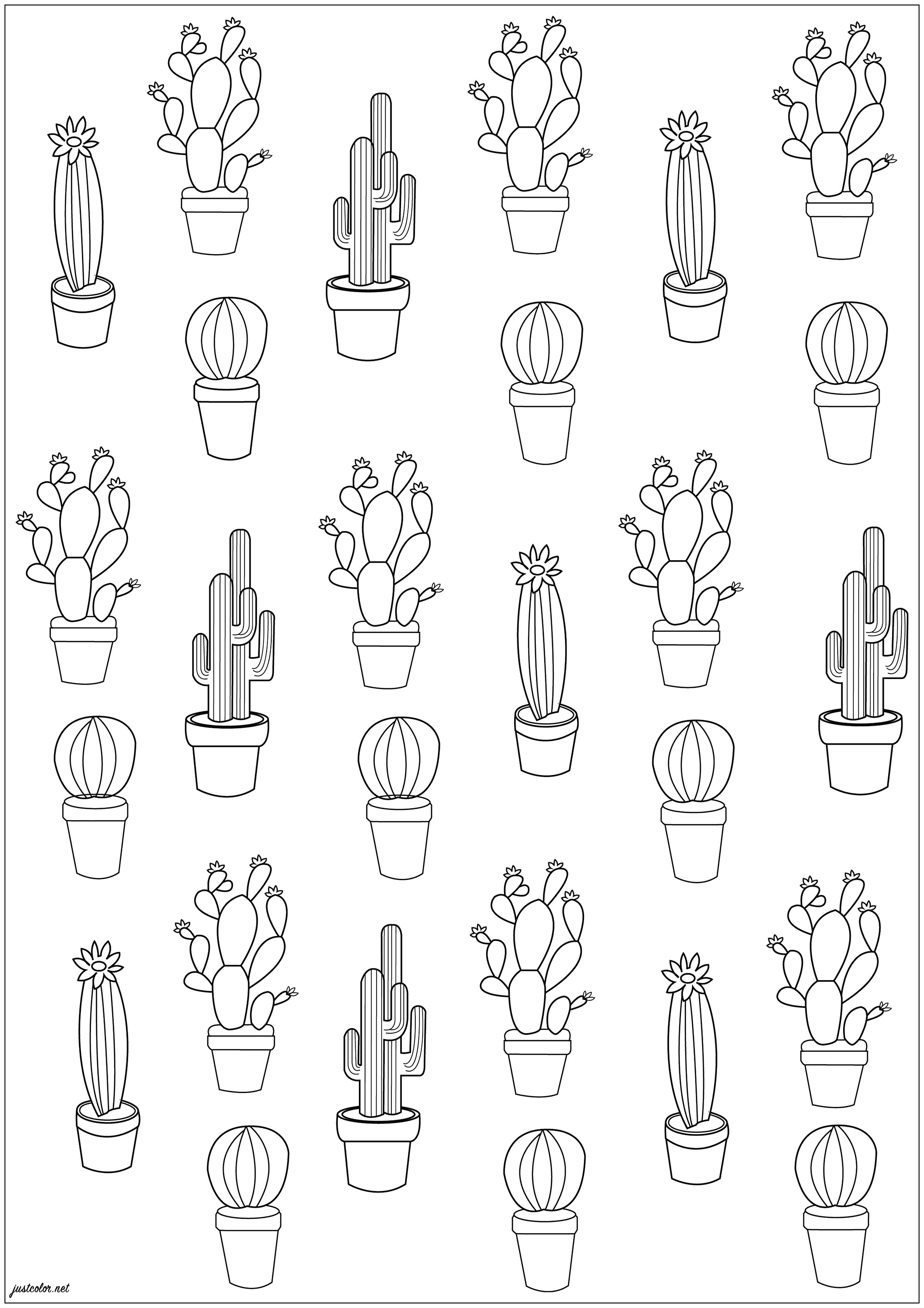 Color these 27 cacti !, Artist : Esteban