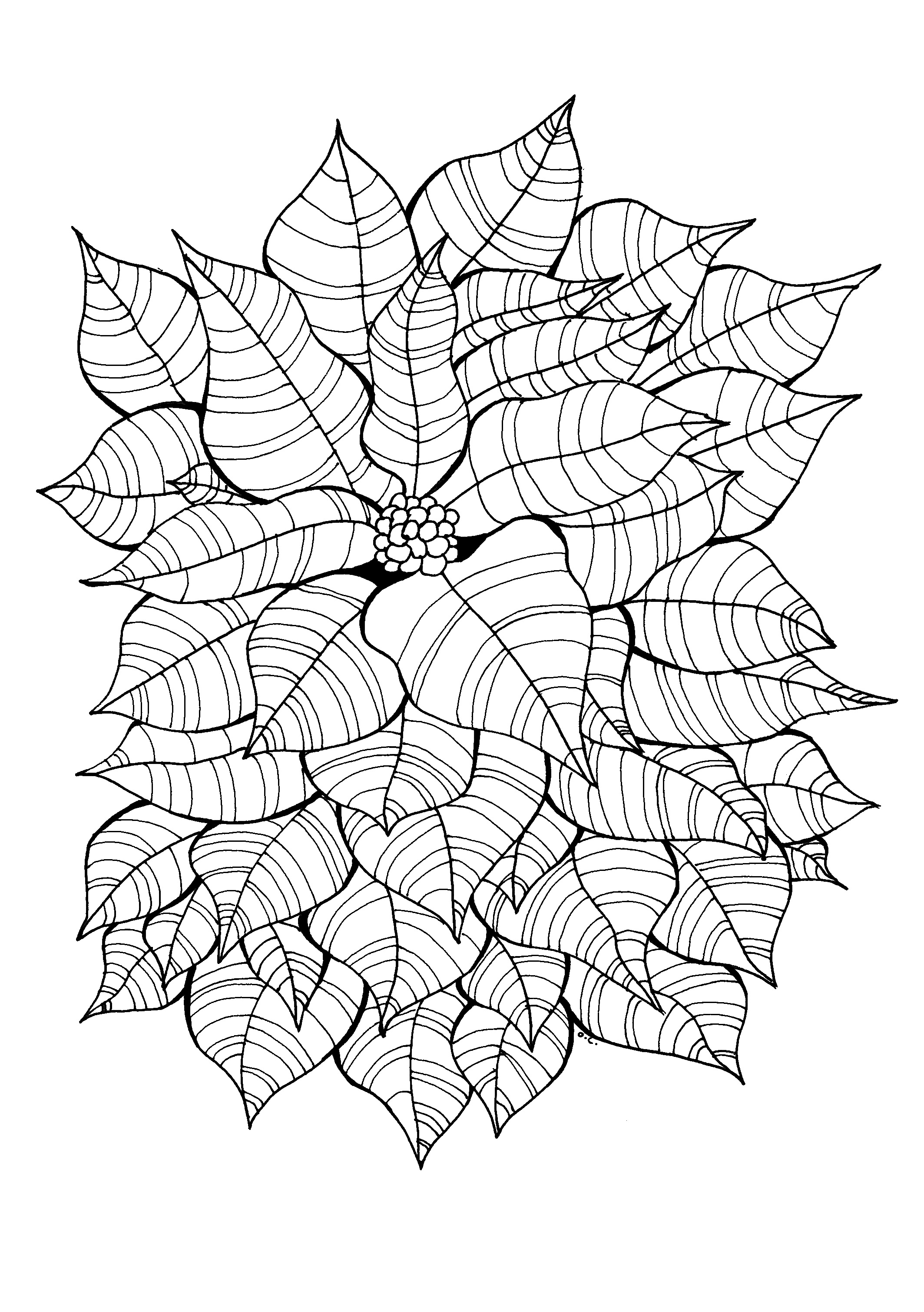 Leaves around a little flower, original drawing, Artist : Olivier
