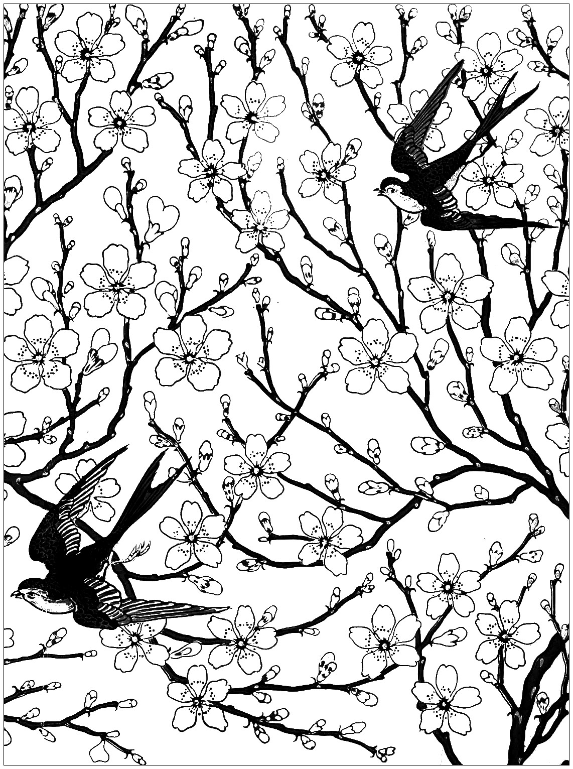 Almond blossom and swallow, coloring page inspired by a wallpaper frieze by Walter Crane (1878), Artist : Art. Isabelle