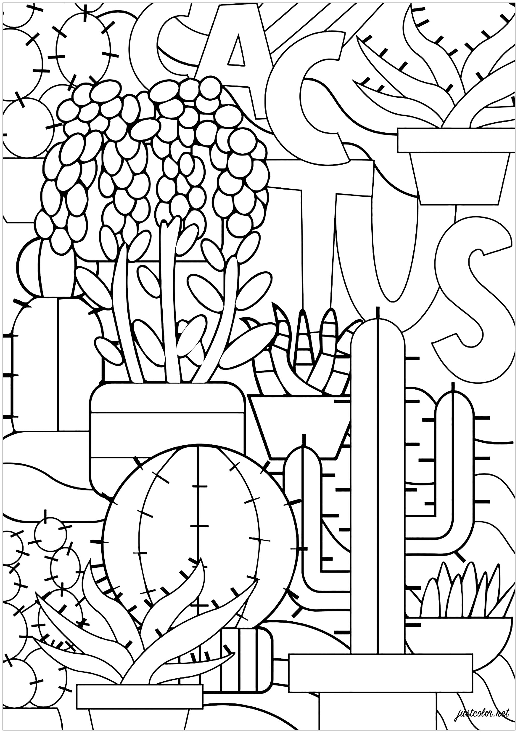 Various varieties of cacti to be colored, Artist : Théo D